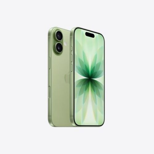 Apple iPhone 17 5G 256GB Sage Green DE