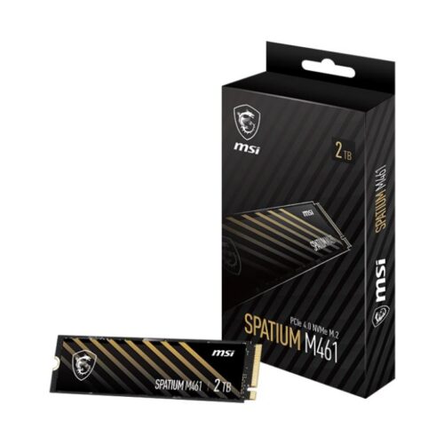MSI SSD Spatium M461 4200 2TB