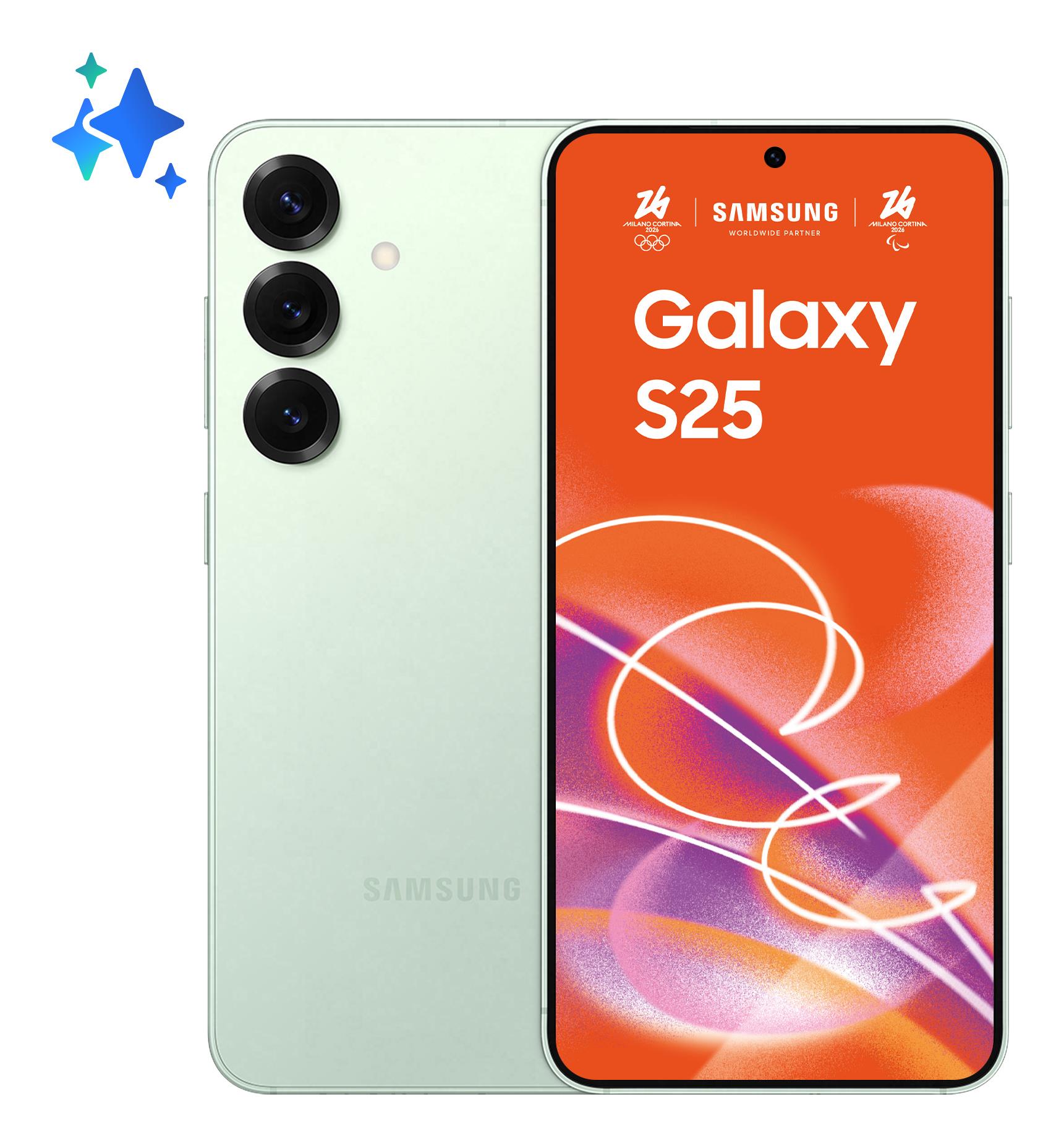 Samsung Galaxy S25 256GB