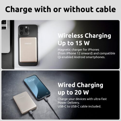 Intenso Power Bank Usb 10000Mah Mag Champagne 7344031