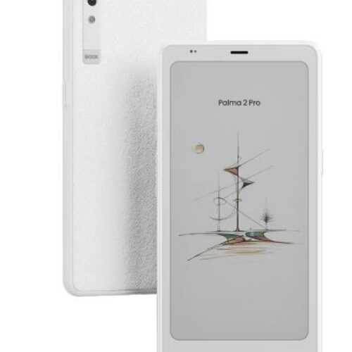 Onyx Boox E-Reader Palma 2 Pro