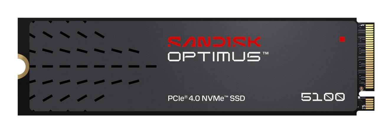 Sandisk SSD 300Xtbw Rating 6600 6600MB