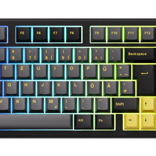 Akko Keyboard Wrl 5098B Black Gold 6925758631921